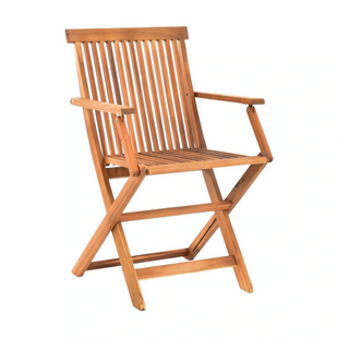 Крісло садове HECHT BASIC CHAIR HECHTBASICCHAIR фото