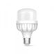 LED лампа TITANUM A80 20W E27 6500К