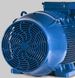 IE1 W22 100L 4P В34 3 кВт 1500 об/мин WEG электродвигатель (380В) лапа-фланец