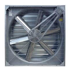 Настінний витяжний вентилятор Gigola & Riccardi ES200 R/S ES200  фото
