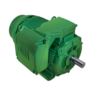 IE3 W22 80 4P B34 0,75 кВт 1500 об/хв WEG електродвигун (380В) лапа-фланець IE3 W22 80 4P 0.75-K фото