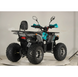 Квадроцикл FORTE ATV125P серо-голубой